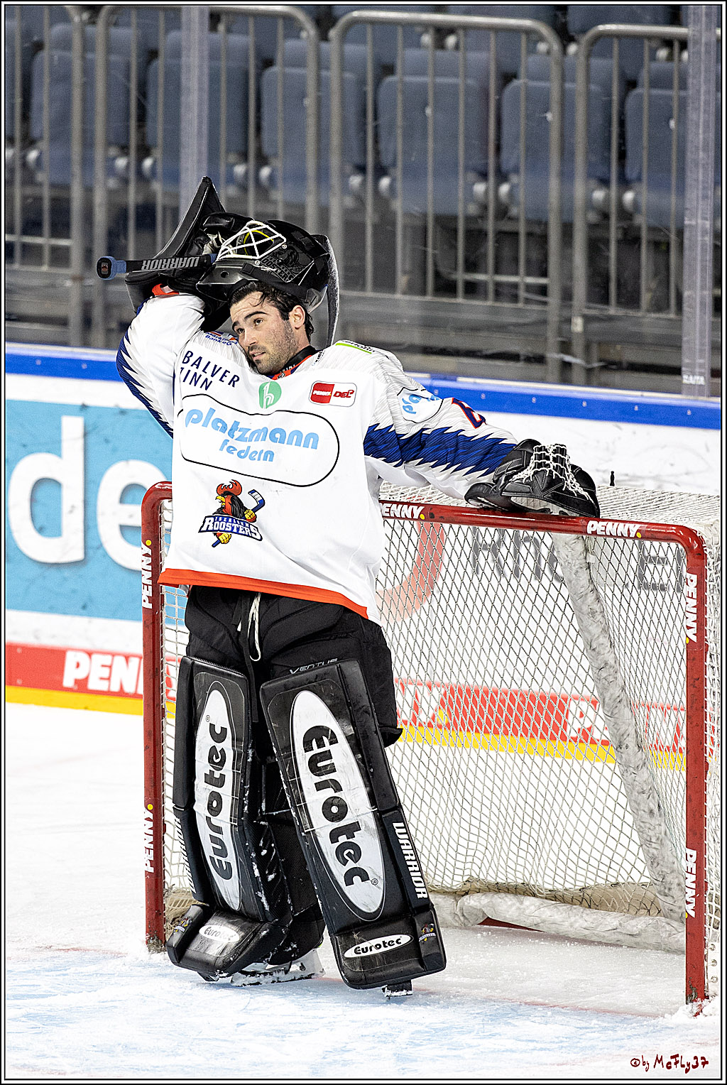 PENNY DEL;  Koelner Haie - Iserlohn Roosters; Koeln, 20.02.2022